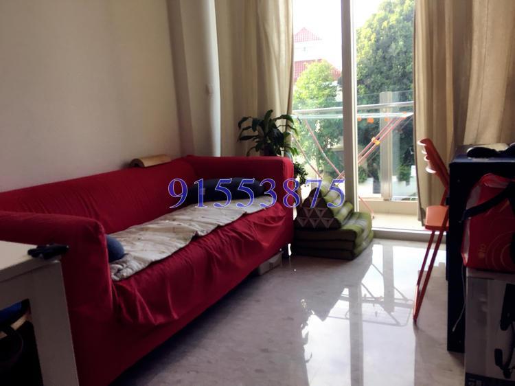 Cardiff Residence (D19), Condominium #123522982